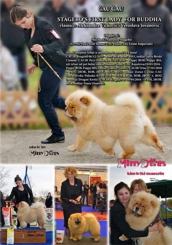 Presentation of Lady in the biggest Dog Magazine in Serbia - Miny Dogs