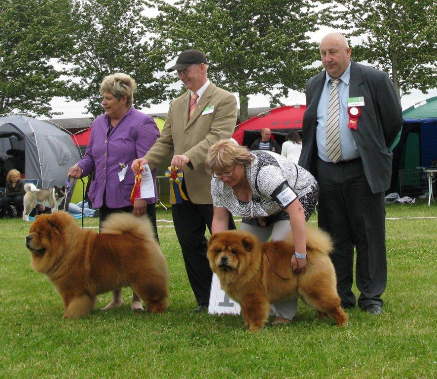 BOB Worldwinner male Cacib CH Tin Pan Alley Can Can Charlie-Junior Worldwinner female Cert.Agata Kristi Lito Guolis