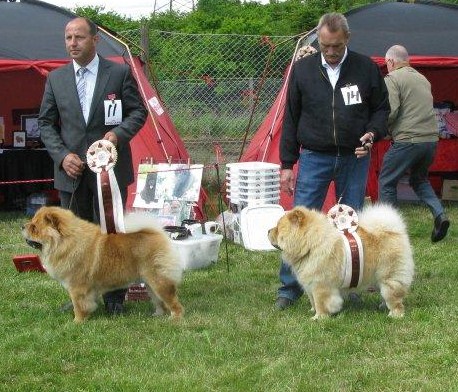 Best dog 3. Mi-Paos Canadian Mountie 4. Mi-Paos Red Sumac