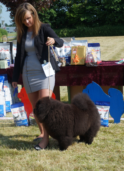 Puppy class: Banvin Fun Zoey
