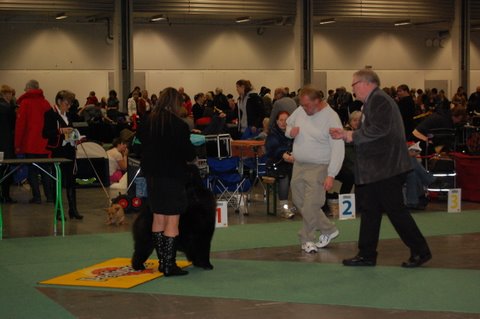 Stagebos X-Man-SKK Stockholm dec.2011