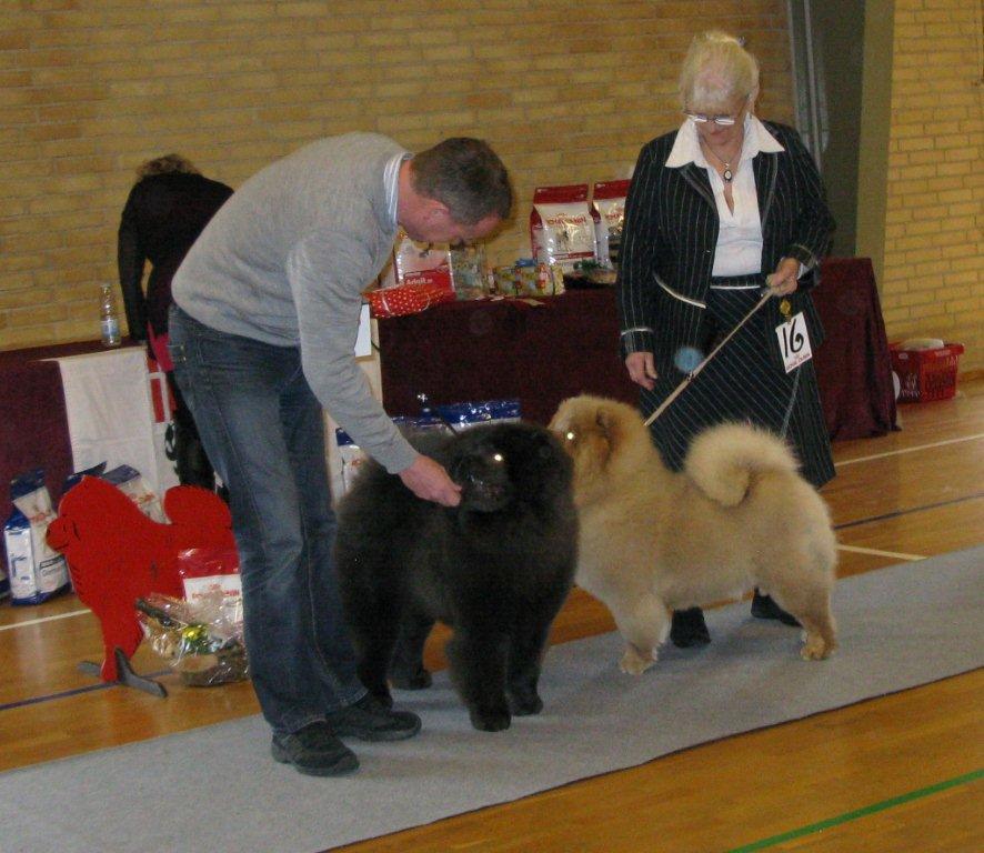 Best puppy: Pelis Ziggi Of Flensborg Best puppyfemale: Pelis Zakaya Of Flensborg
