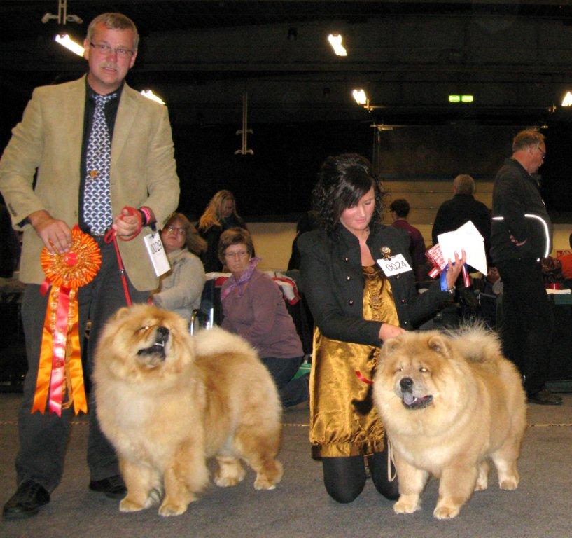 Best female 1.CH Bao-Fangs Fen-Hong-Se Nu Shi 2. Chan-Los Crazy Little Thing