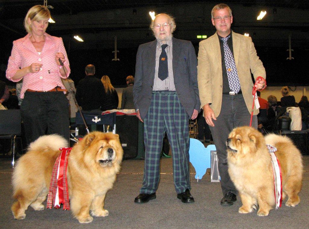 BOB (left) CH Orinells Ego Trip - BOS CH Bao-Fangs Fen-Hong-Se Nu Shi