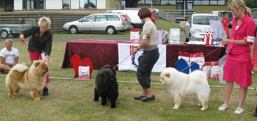 Junior females 1.+BOB Bao -Fangs Fen-Hiong-Se Nu Shi 2.+BB3 Dai Lan Zung Tzung Le 3. Pei Fang Eyecatcher 