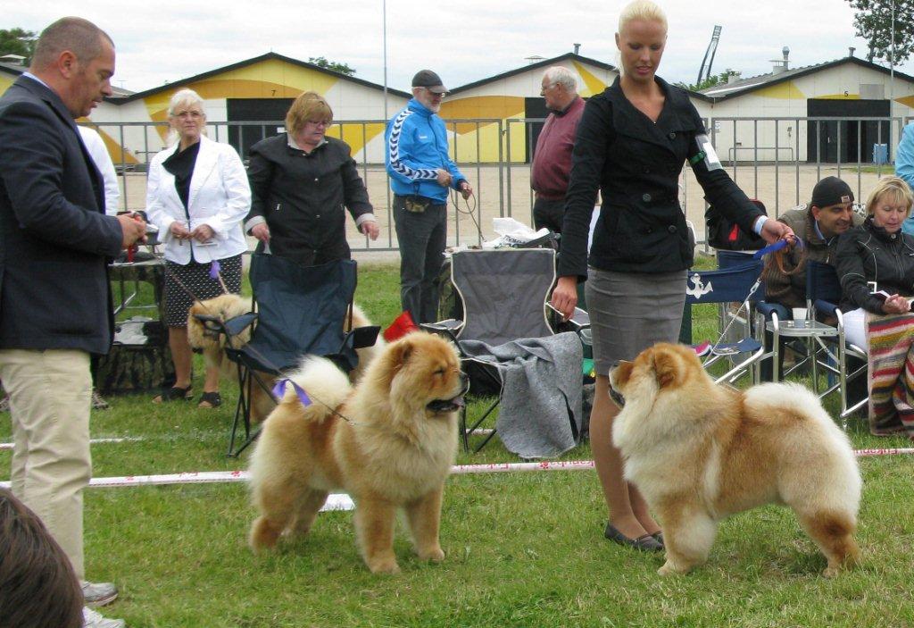 Open male 1. Moima Alberto Tomba 2. Di Ka Tchou Zung Tzung Le 