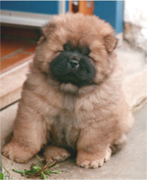 Quincy