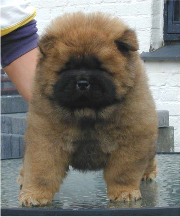 Quincy