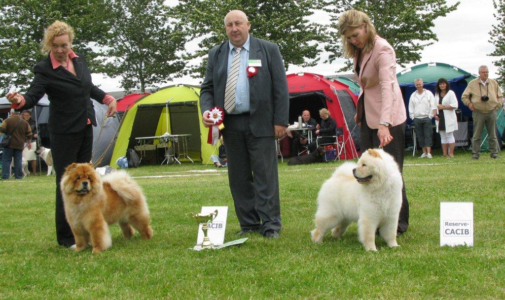 Worldwinner female Cacib Pei Fang Penny Lane At Sherae-Res.cacib Pei Fang Eyecatcher