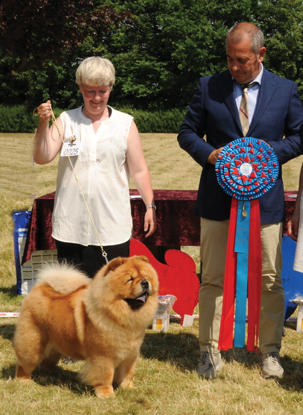 BOB+DCCK Clubwinner 2016 DKCH SECH KLBCH KLBV16 Stagebo's Angel Of The Morning