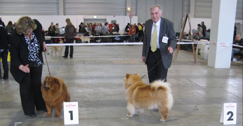 Junior female-1.Hong-Meili von Mien-Shan 2.Chi-Ann vom Selketal