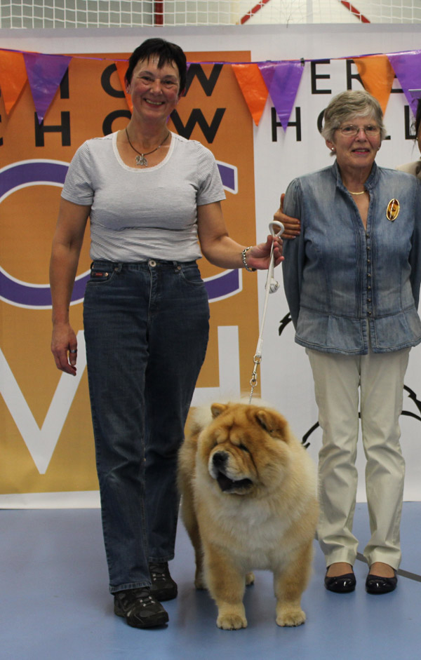 CCVH Clubmatch 11.10.16-CH Liusu Bei Bonchi with Minnie Odenkirchen