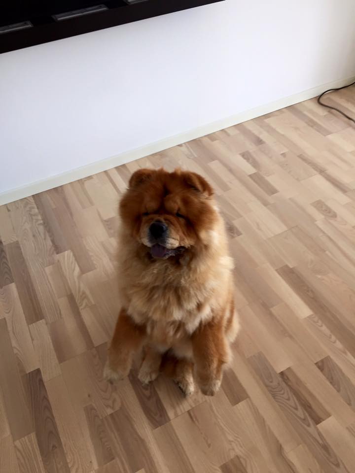 Betty Boop -2 year