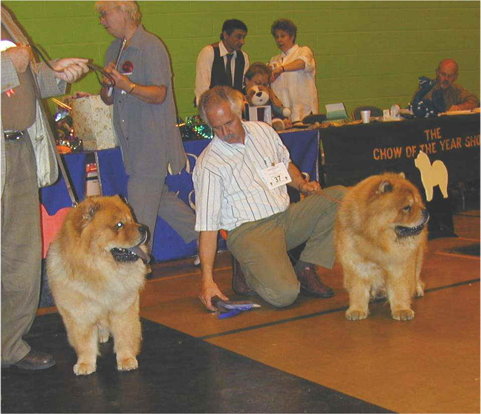 Limit dog-1st Fullforge Fazer-2nd Lechan Sian For Baybar 