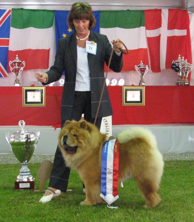 BOS+CAC Quaipirigna dei Leoni Imperiali