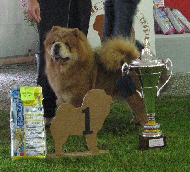 Best Youth male (Giovani)-Marusos Lawless Louis 