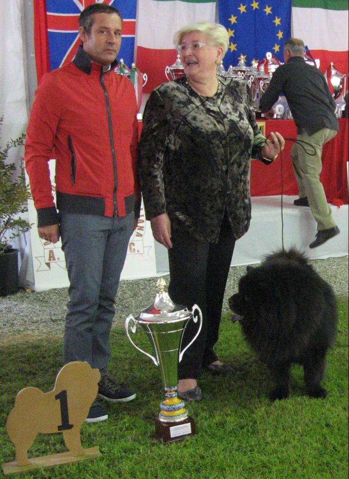 Best veteran male-CH Black Magic Marquise