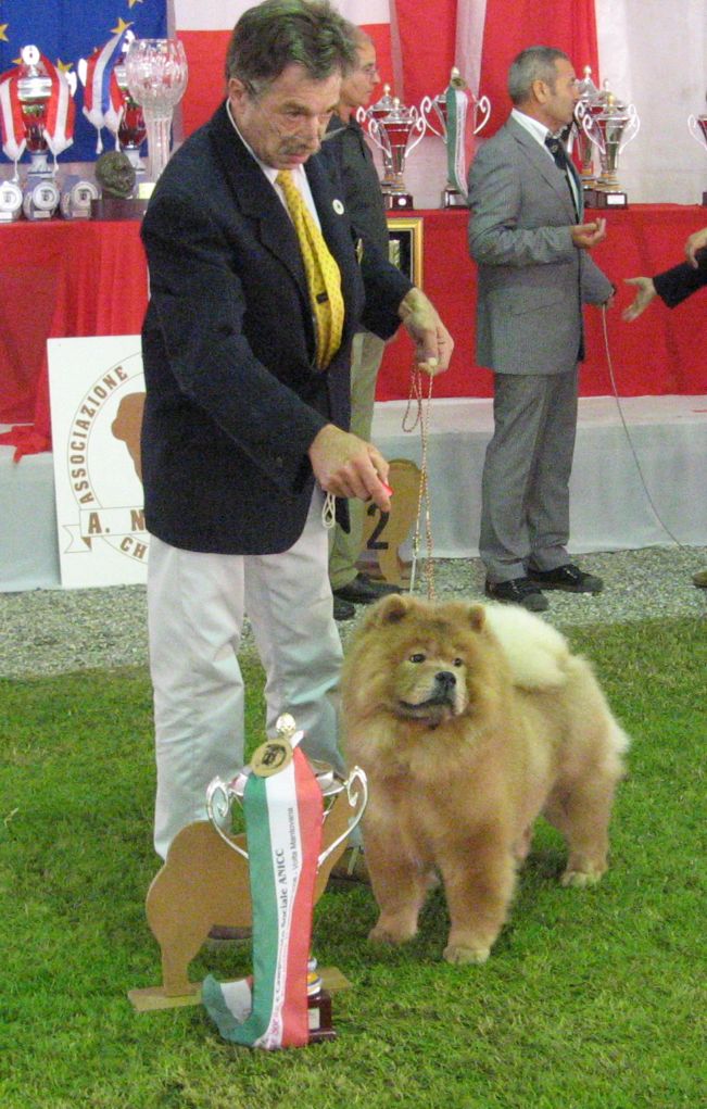 Campionessa Sociale-Towsushet Sheba