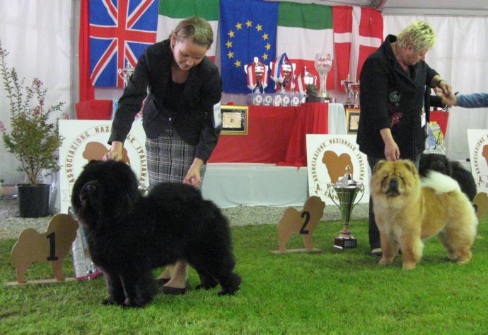 Open female 1-2