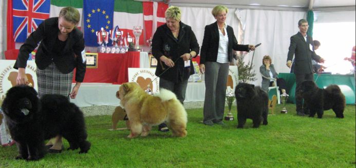Open female 1-4 (4.Stagebos Queen Of Spades)
