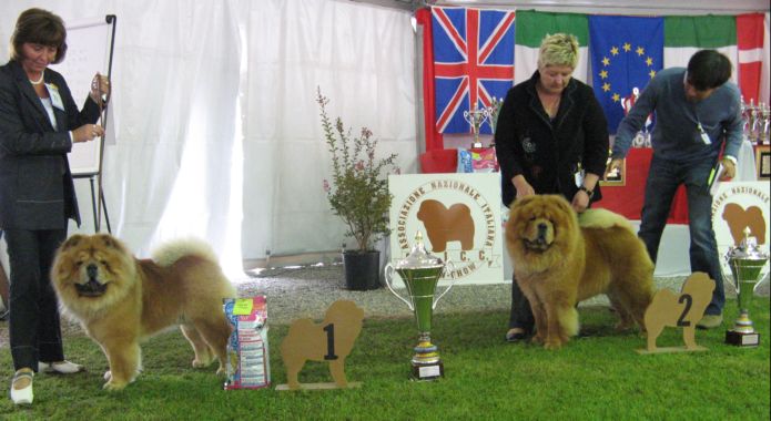 Open male 1-2