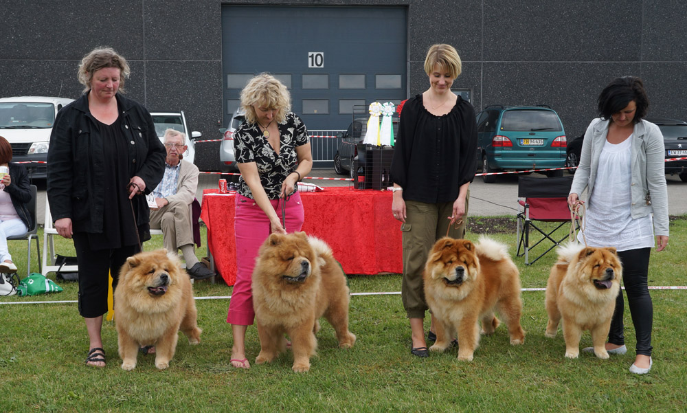 Breeder class 2: Chan-Lo 