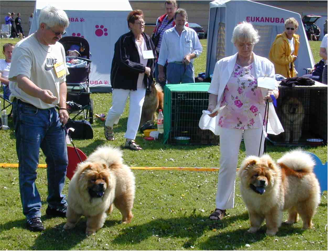 Pelis Lien Fan-Hua Of Flensborg+Pelis Leika Of Flensborg