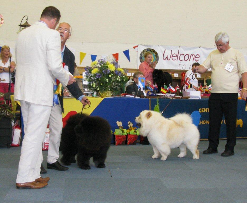 AOC 1. Cherrymount Good To Be Black For Lechan 2.Loyjean Prince Of Egypt