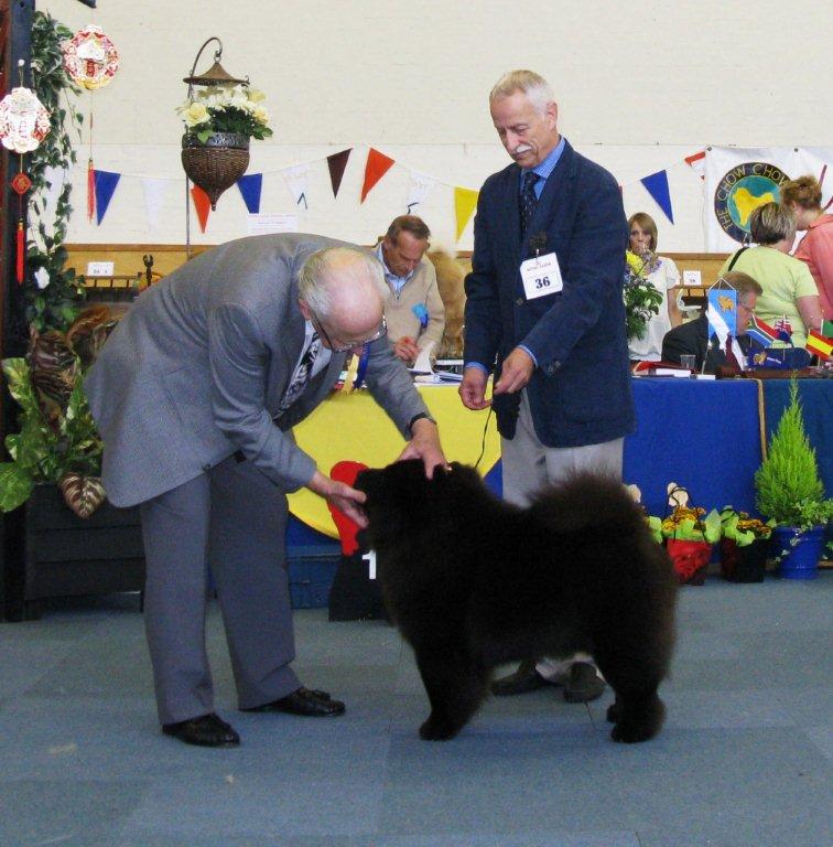 AOC Dog Res.CH Moima Night Boy
