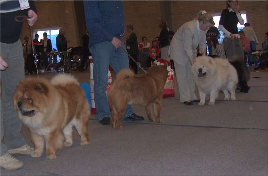Open Class male 1-4