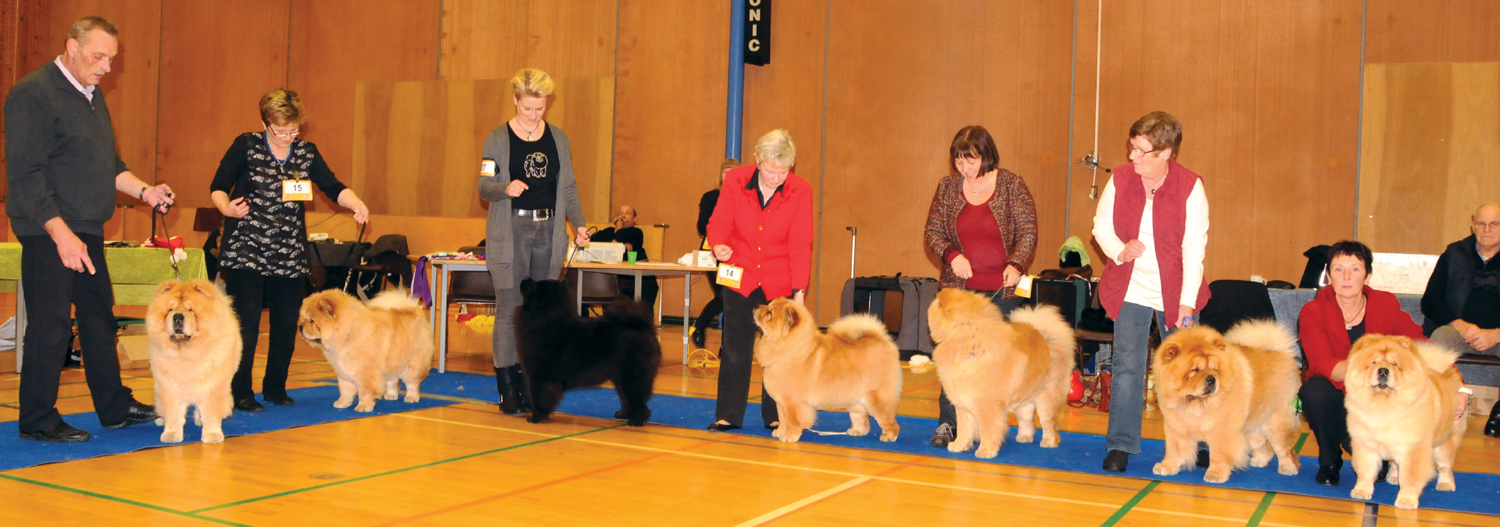 Best progeny class - CH Mi-Paos Red Sumac (left) and 6 offspring