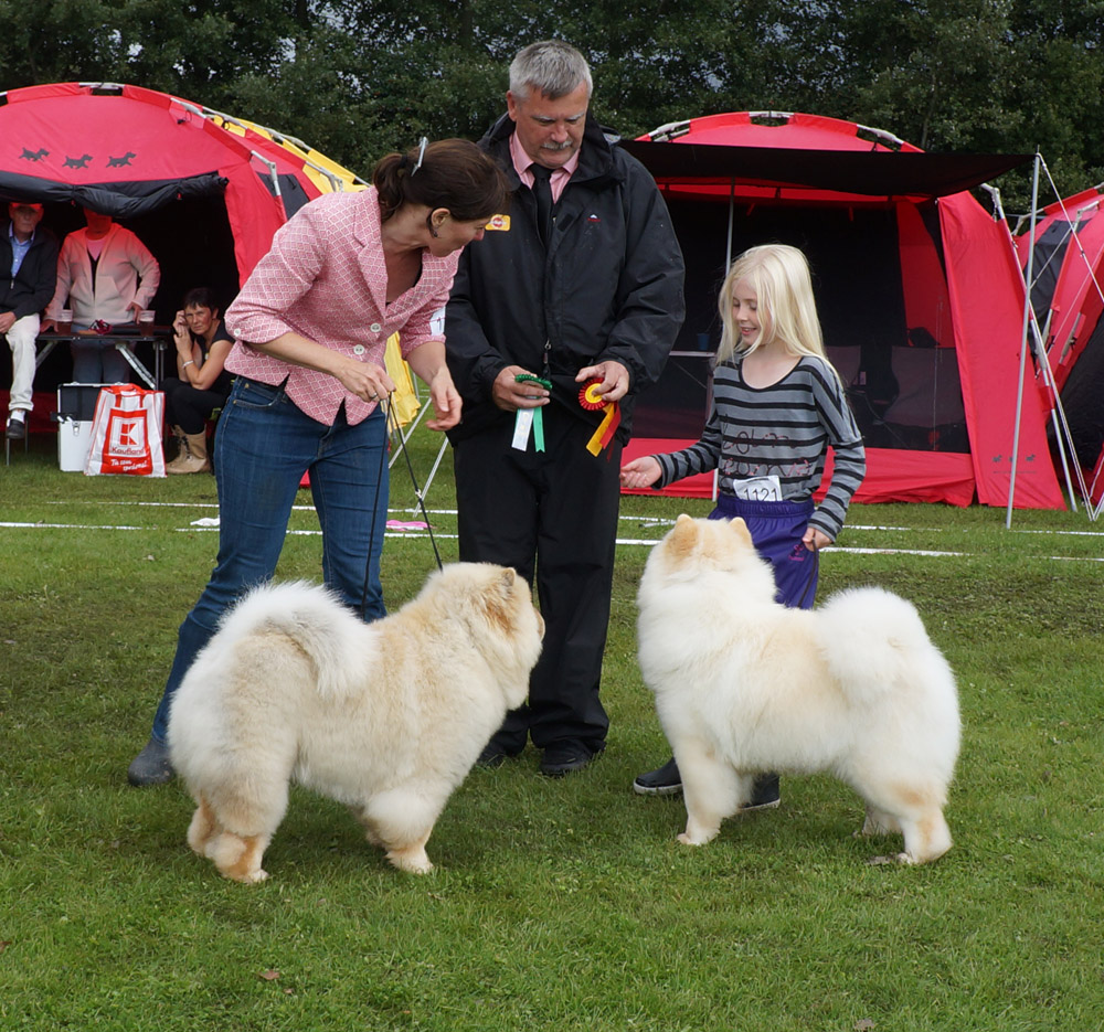 BOB (right) CH Pei Fang Eyecatcher BOS + Cert. Bon Triumph Diamond Rock