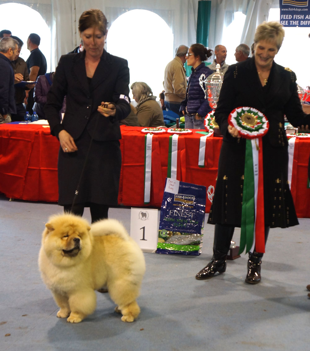 BIS puppy Bon Triumph Diamond Rock