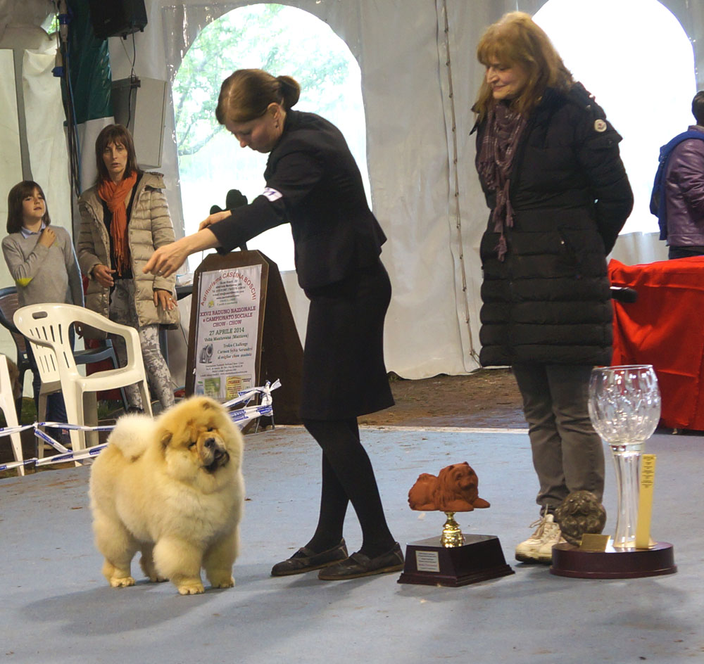 BIS puppy - Carmen Sylva Serandrei Trophy - Bon Triumph Diamond Rock