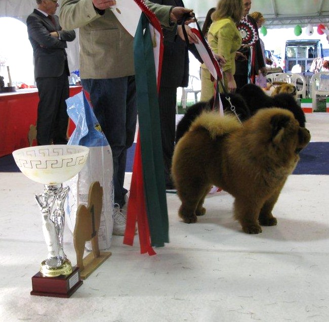 BIS CH X-Red Ray Dei Leoni Imperiali
