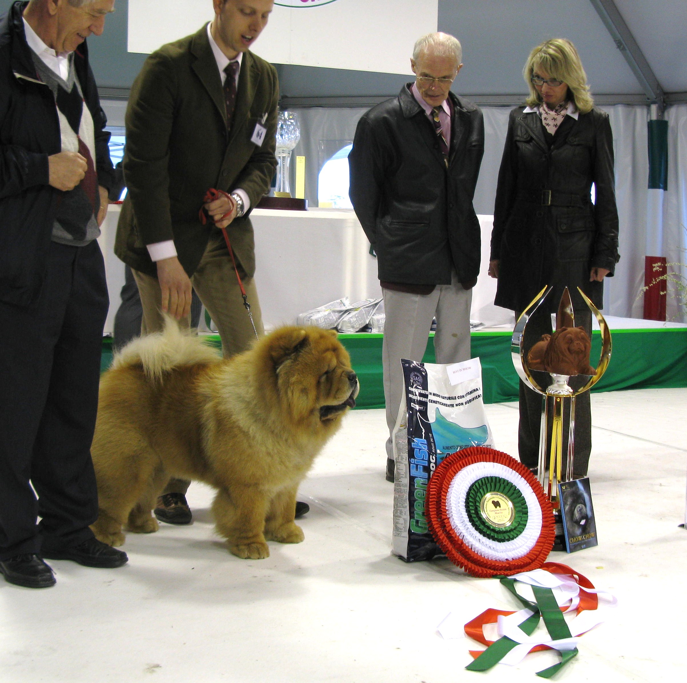 BIS CH Quiddic Dei Leoni Imperiali+judges