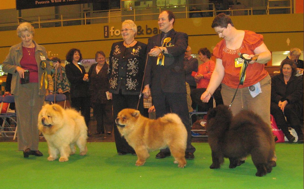 BOB CC Tanlap Tiftytitan-BOS CC Denrob Dancing Queen-Best puppy Shasadee The Bedazzled With Santicana