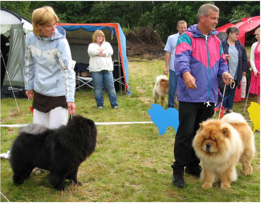Best male 1+2 CH Orinells Cool Casanova + CH Simauta Dess Ben Buka