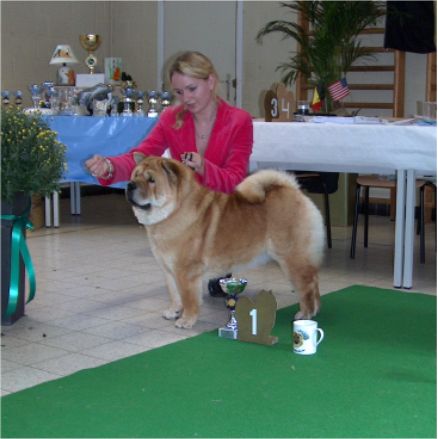 Youthclass females: 1.Bidachows Graceful Smooth Gabby
