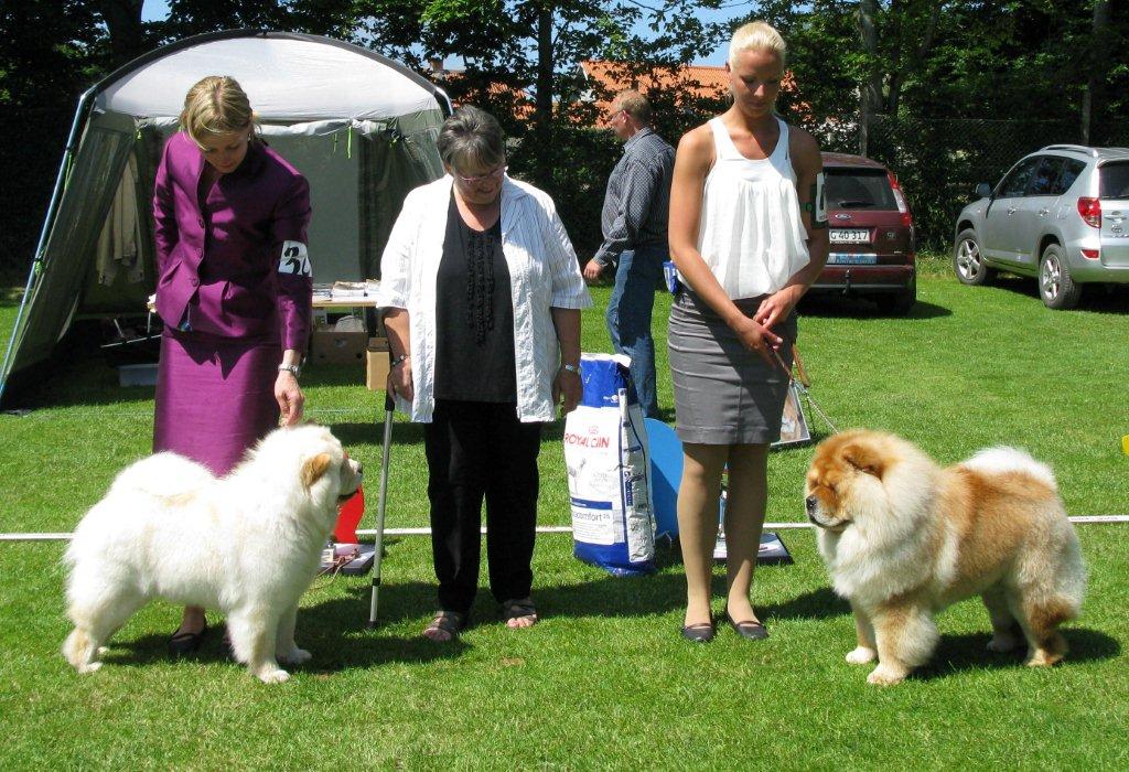 BOB (left) Pei Fang Eyecatcher BOS Di Ka Tchou Zung Tzung Le