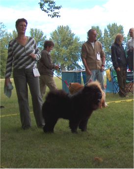 BOS Stagebos Roxanne