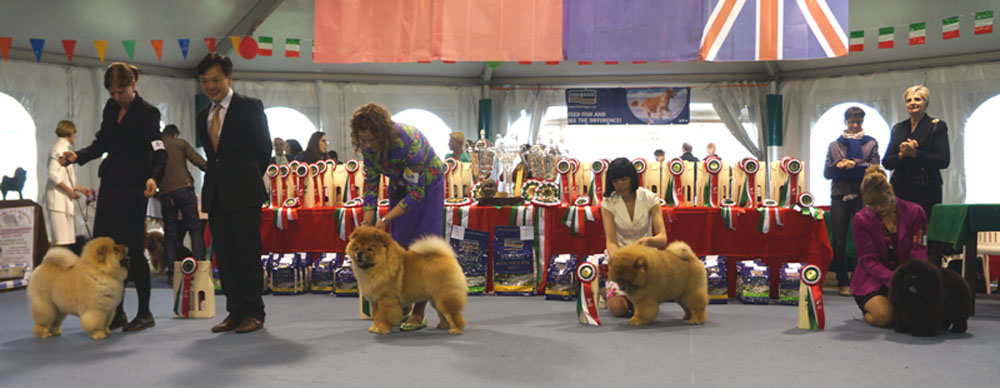 Baby dog: 1. Bon Triumph Diamond Rock 2. Jackpot Lietuvos Liutas 3. Emilio Pucci Djalo 4. L&A Goodtymes Django