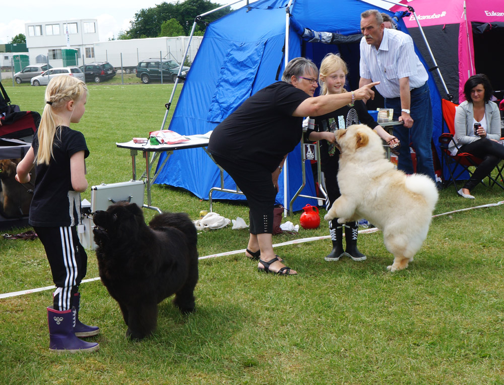 Competition Child and Dog (judge: Marianne Baden)