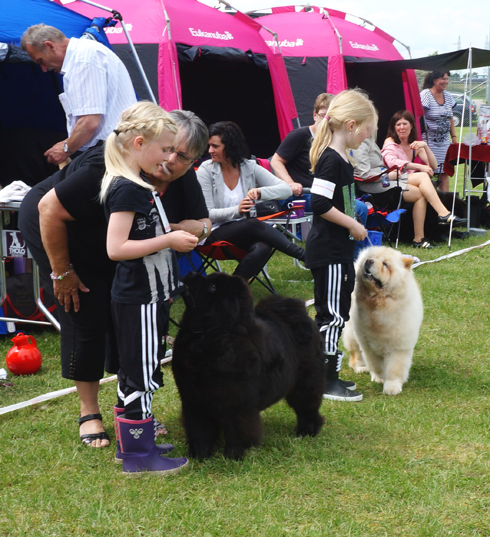 Competition Child and Dog (judge: Marianne Baden)