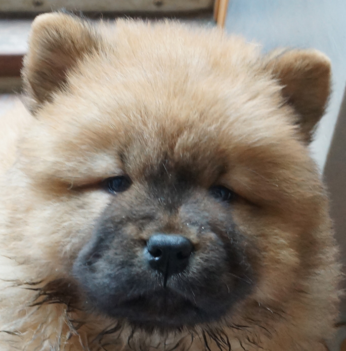 Be Bop A Lula-7 week