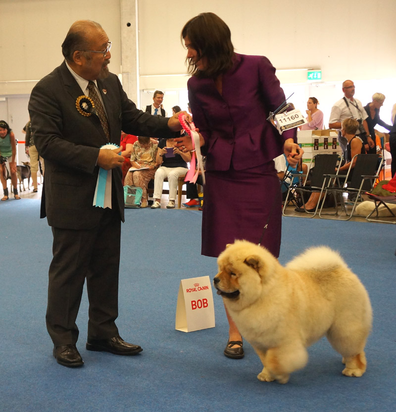 Best puppy: Bon Triumph Diamond Rock