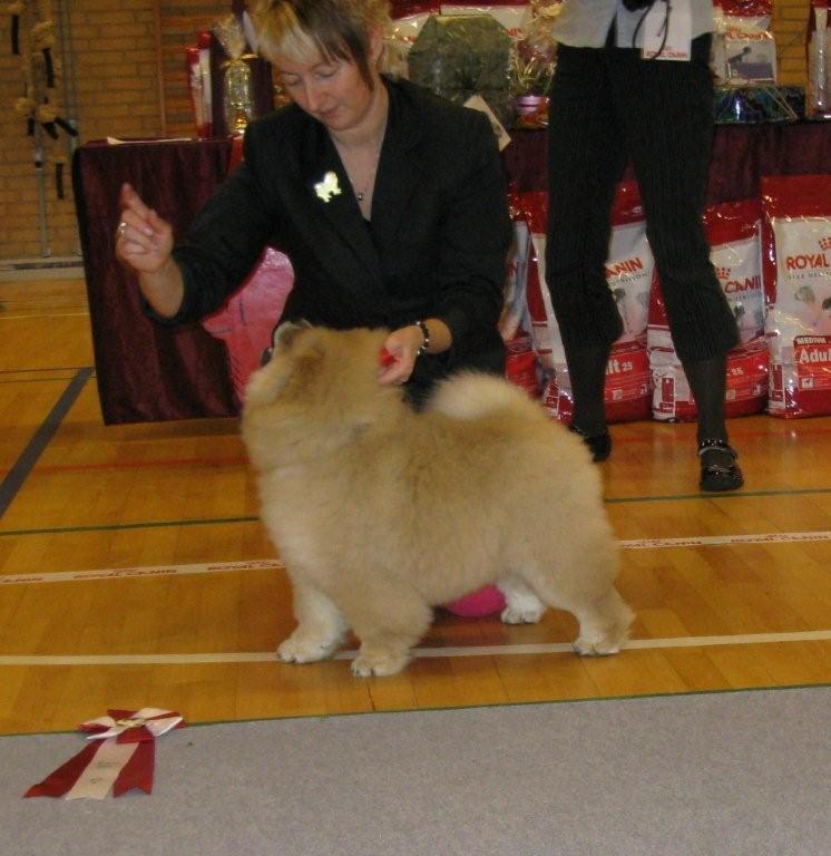 Best baby-Piuk Chow Danish Princess Passion