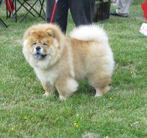 Best Baby: Piuk Chow Plenty Of Christmas Candy