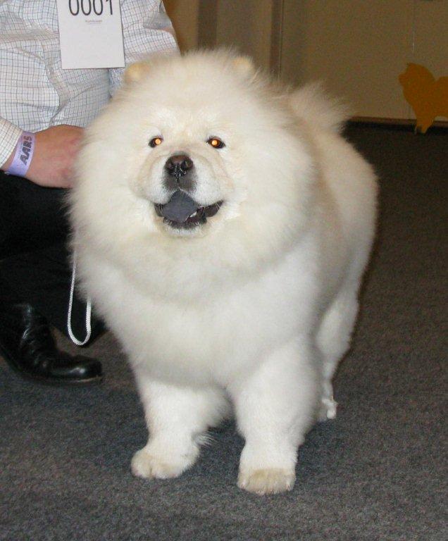 Best baby Rossy Echo