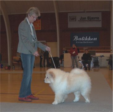 Best Baby-male Nin-TSun Valde De La Creme